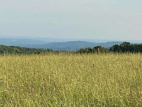 88 Acres of Land for Sale in Callicoon Center, New York