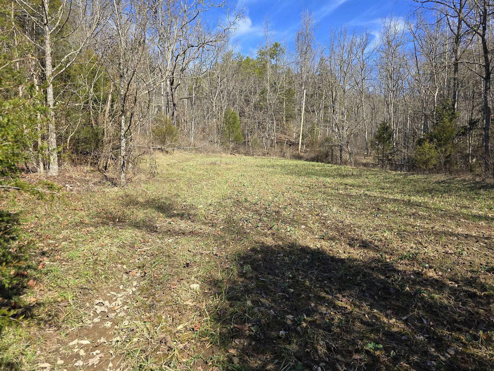 57.2 Acres of Land for Sale in Sneedville, Tennessee