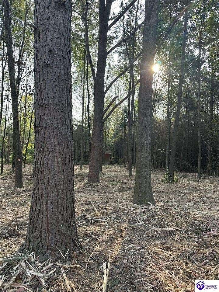 1.33 Acres of Residential Land for Sale in Campbellsville, Kentucky