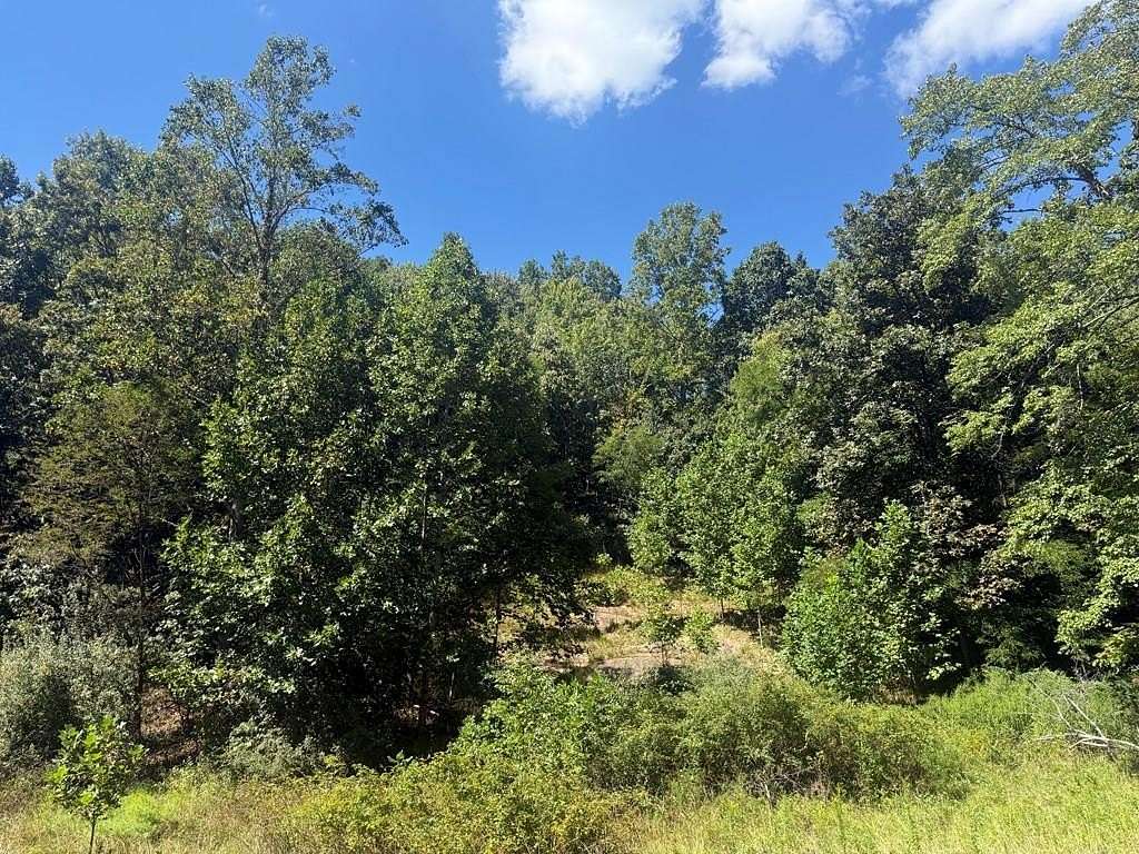 0.88 Acres of Residential Land for Sale in Princeton, West Virginia