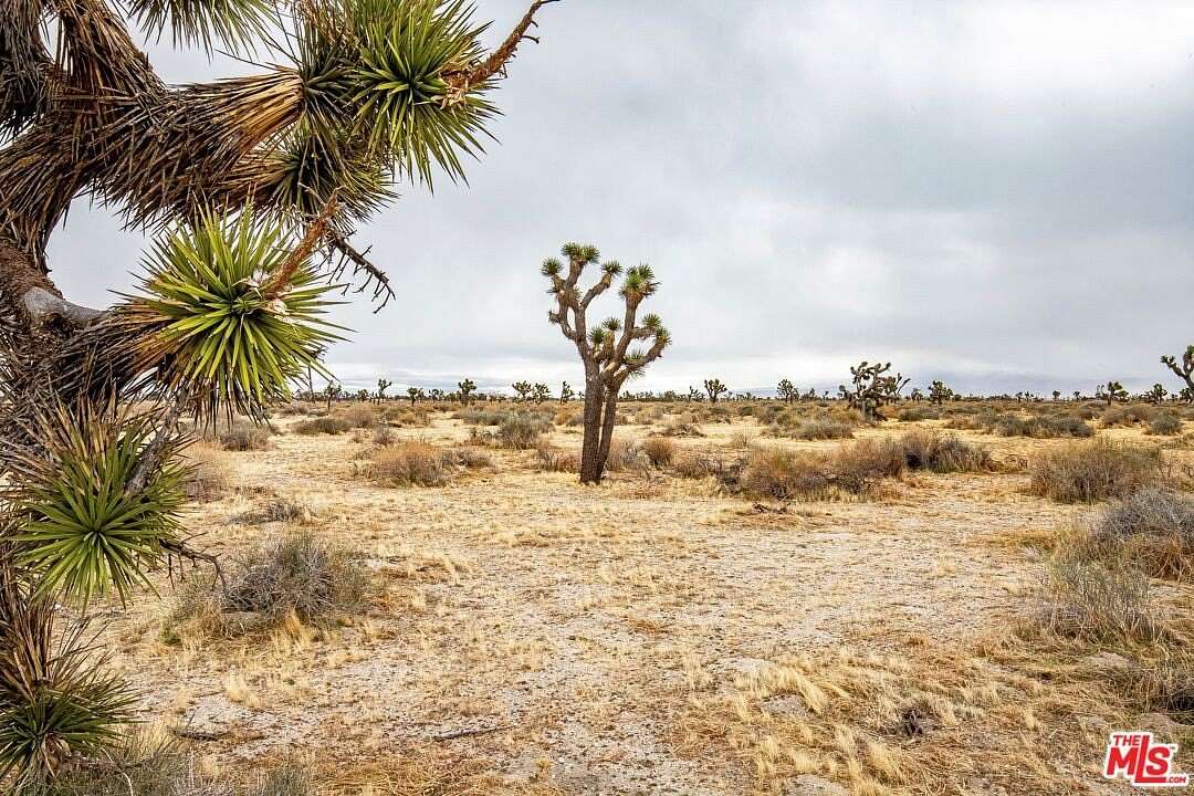 1.1 Acres of Land for Sale in Palmdale, California