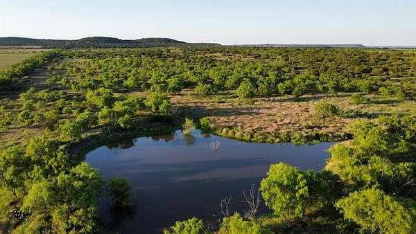 75.3 Acres of Land for Sale in Ovalo, Texas