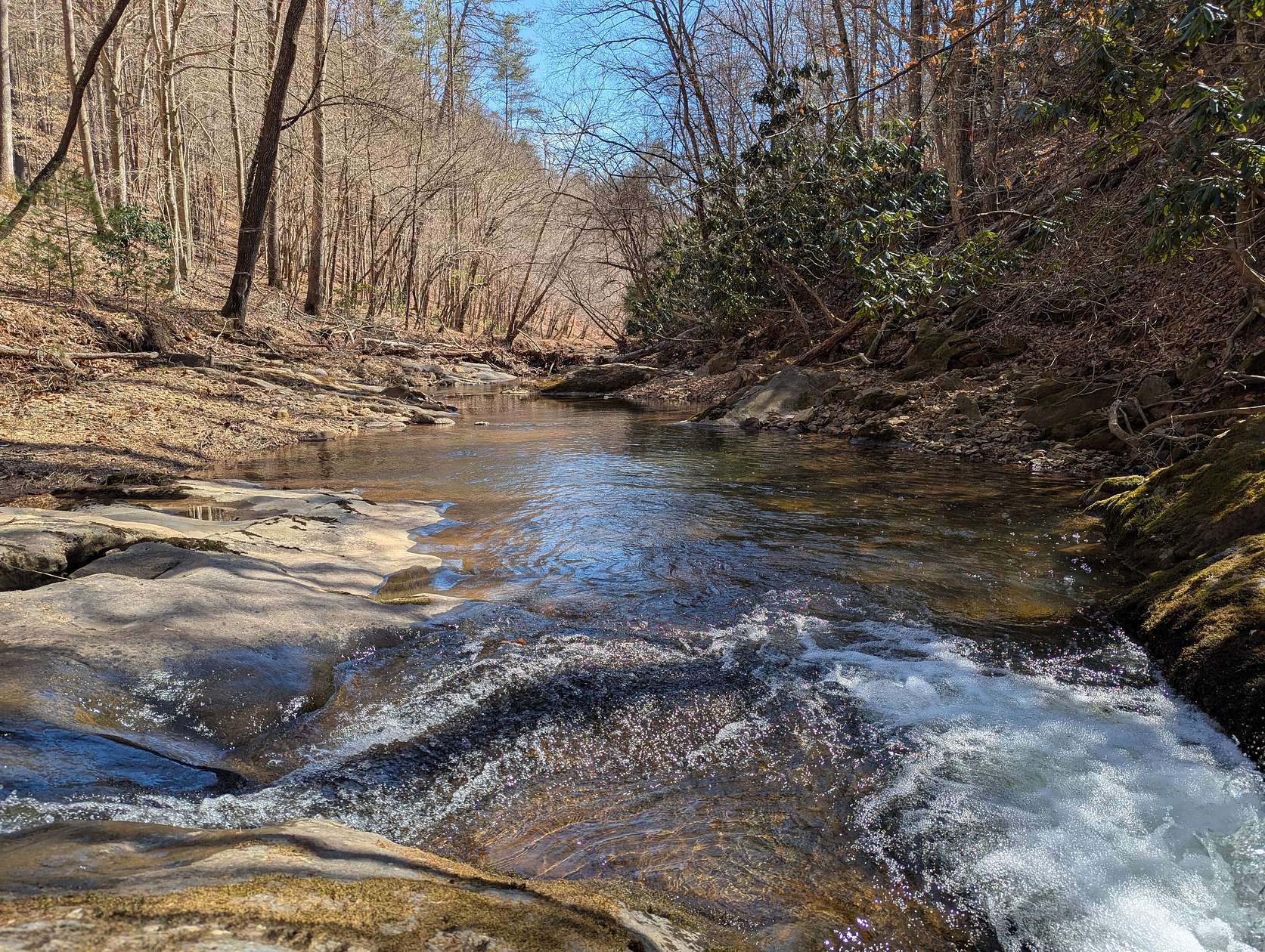 124 Acres of Recreational Land & Farm for Sale in Henry, Virginia