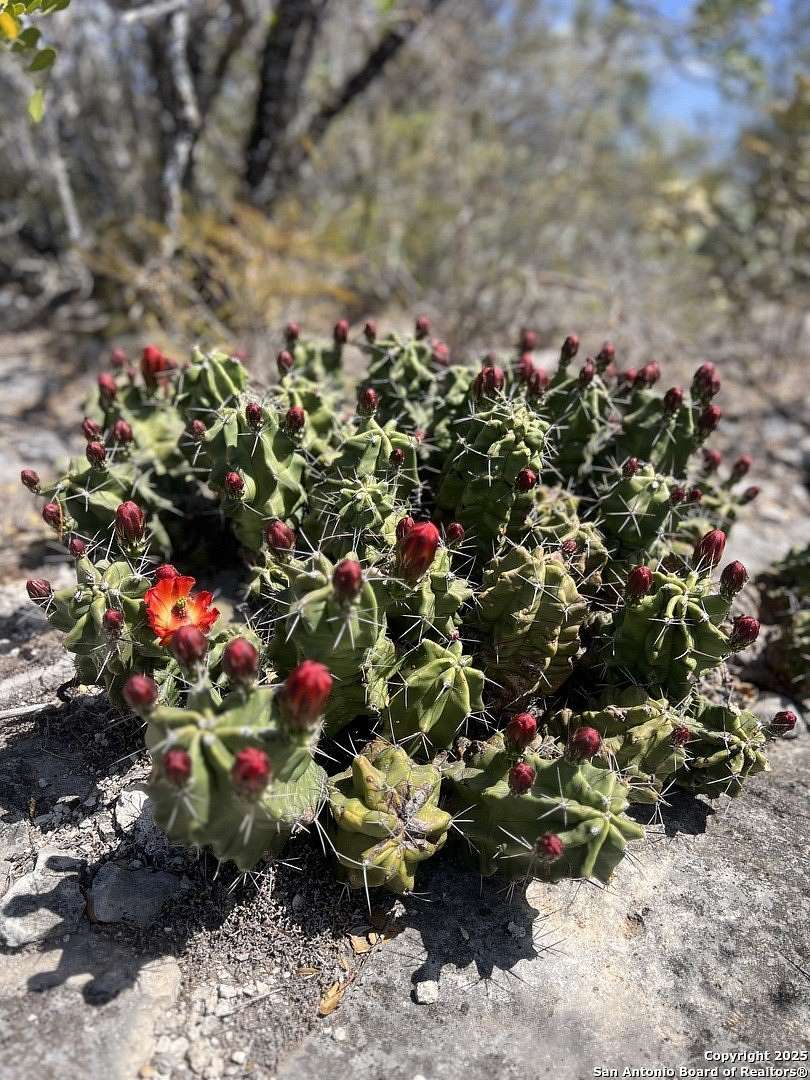 63.8 Acres of Recreational Land for Sale in Brackettville, Texas