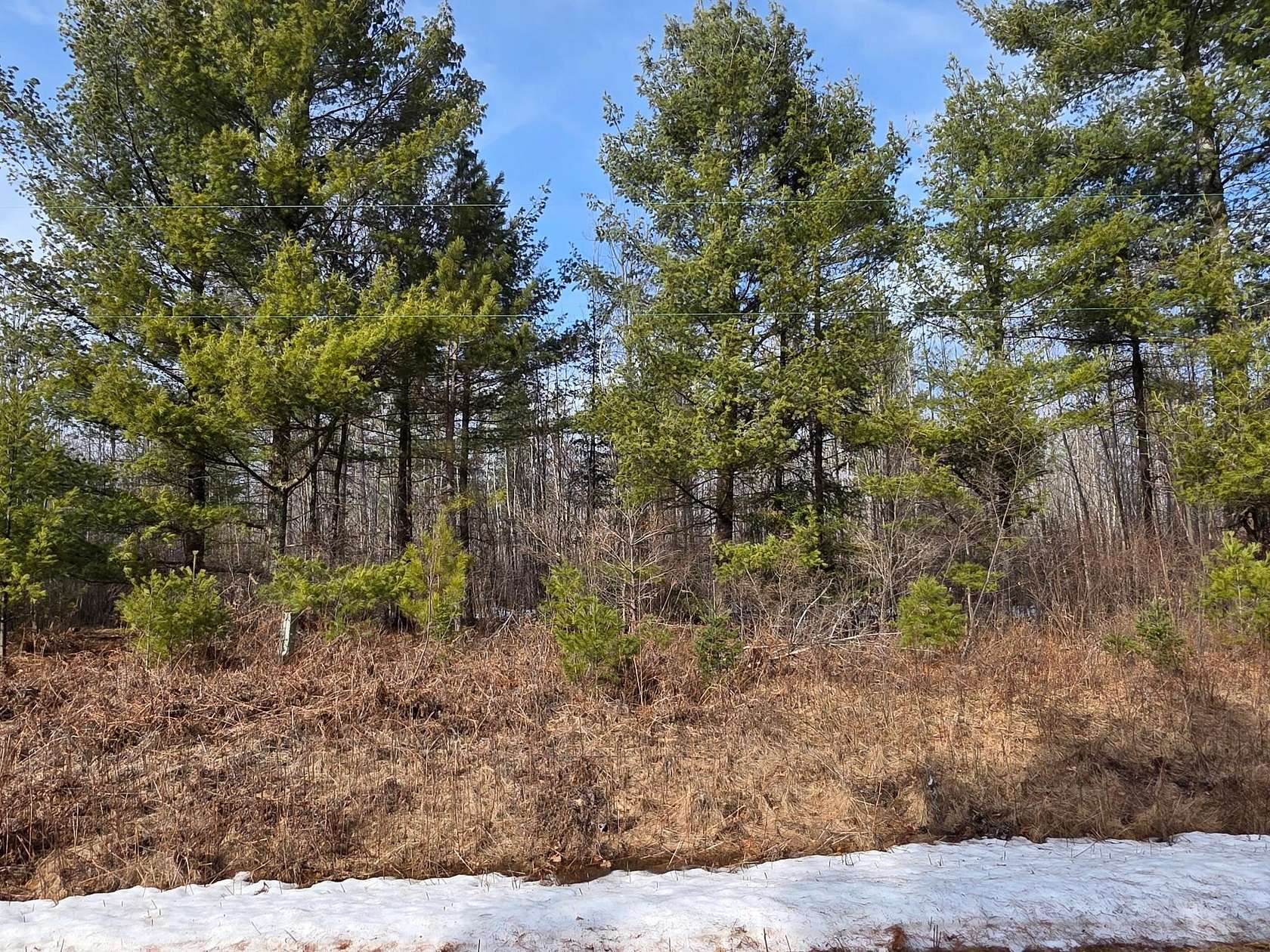 28.4 Acres of Recreational Land for Sale in Irma, Wisconsin