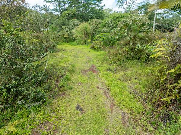 1 Acre of Land for Sale in Pahoa, Hawaii