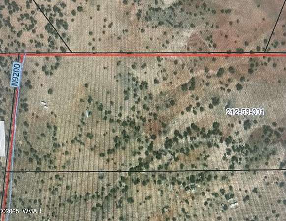 38.9 Acres of Recreational Land for Sale in Concho, Arizona