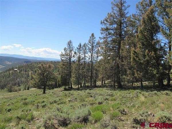 4 Acres of Land for Sale in Powderhorn, Colorado