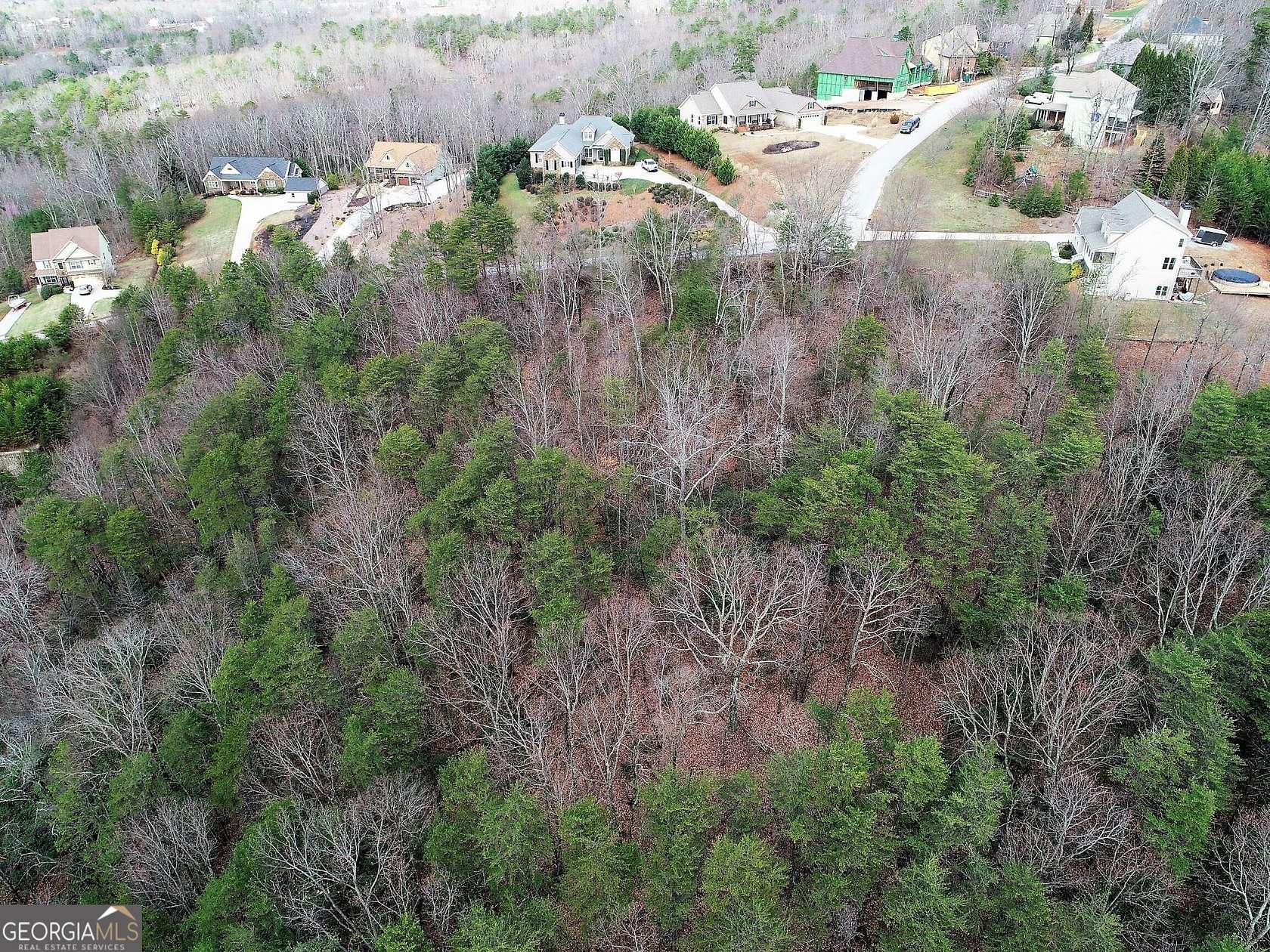 1 Acre of Residential Land for Sale in Cleveland, Georgia