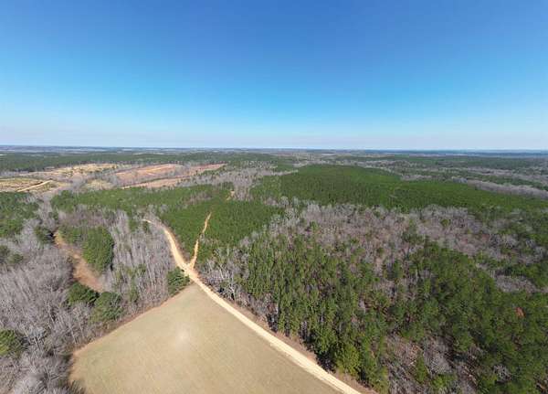 201 Acres of Recreational & Residential Land for Sale in Detroit, Alabama