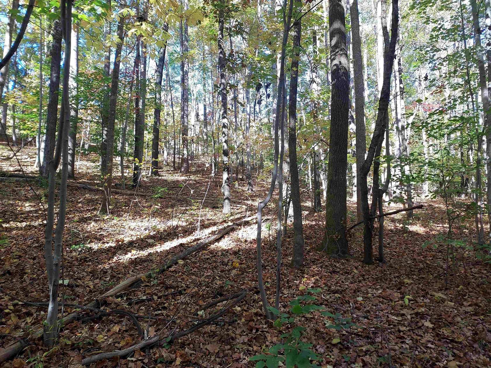 5 Acres of Land for Sale in Columbus, North Carolina