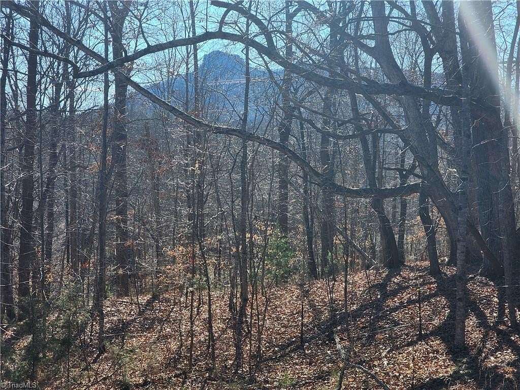 7.6 Acres of Land for Sale in Pilot Mountain, North Carolina