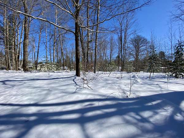 Land for Sale in Gaylord, Michigan