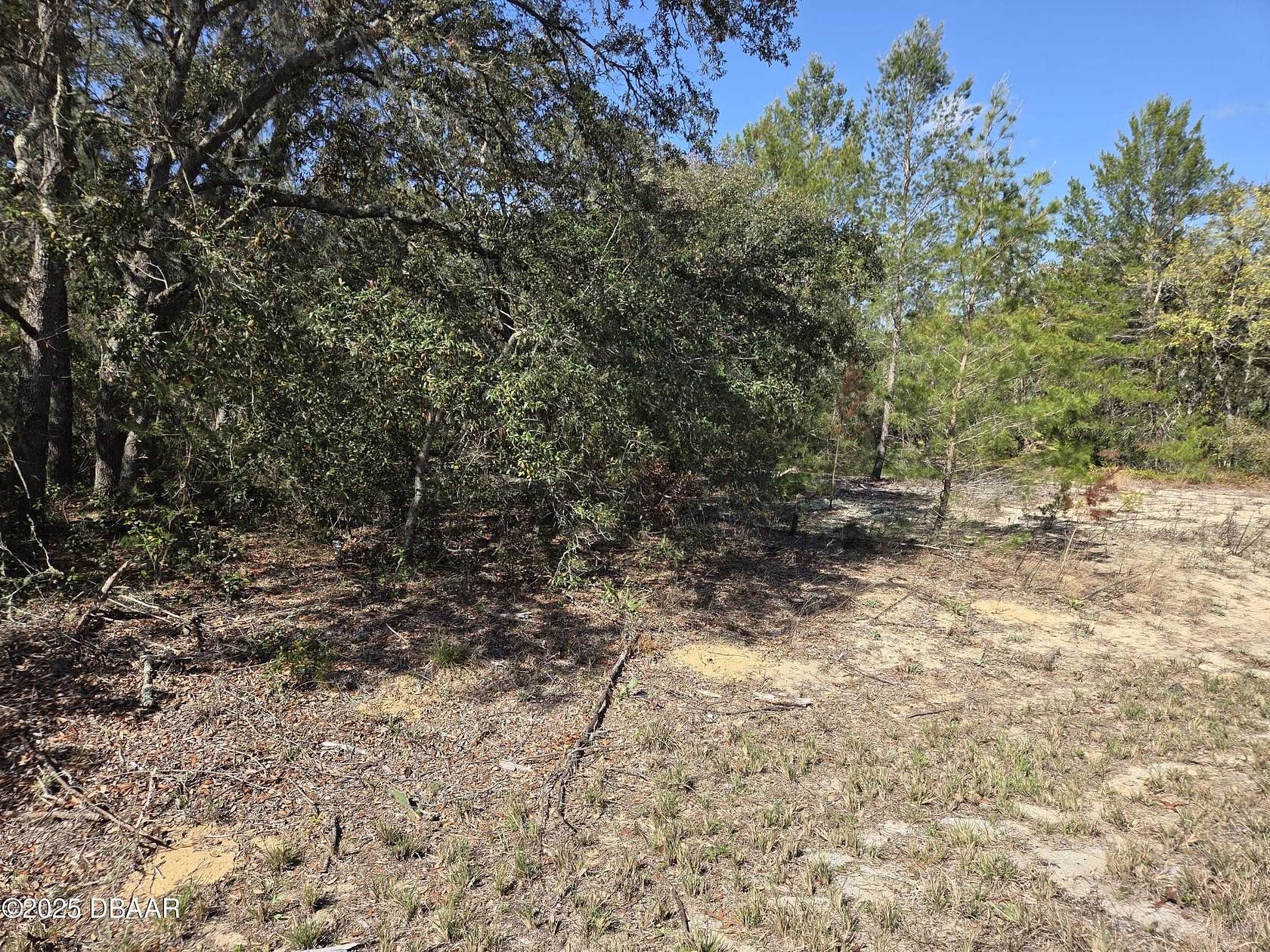 0.25 Acres of Residential Land for Sale in Ocklawaha, Florida