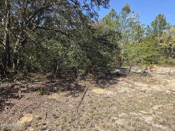 0.25 Acres of Residential Land for Sale in Ocklawaha, Florida