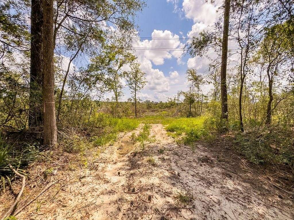 10.3 Acres of Land for Sale in Apple Springs, Texas