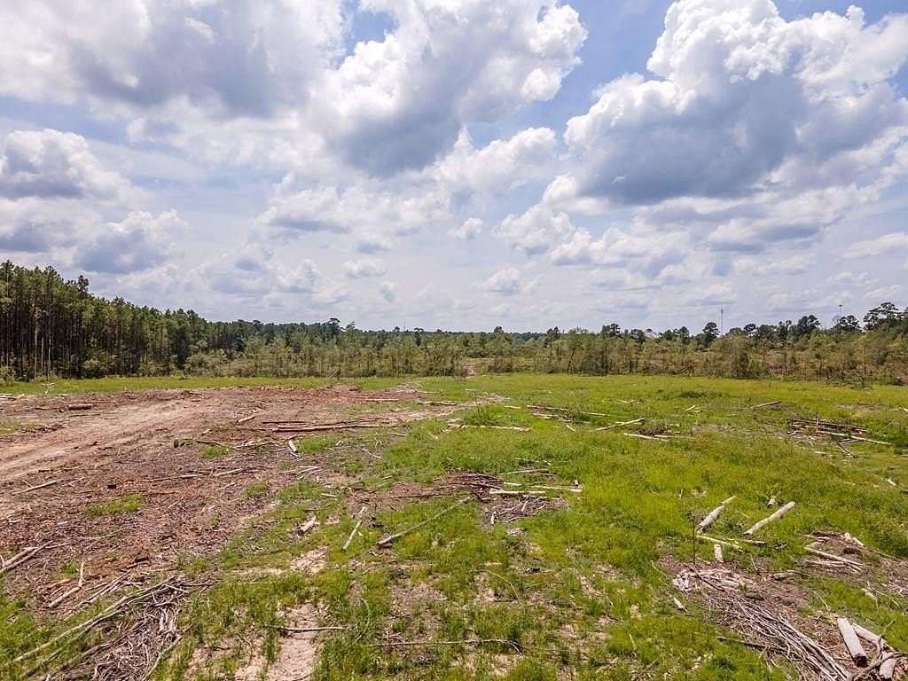 10.3 Acres of Land for Sale in Apple Springs, Texas