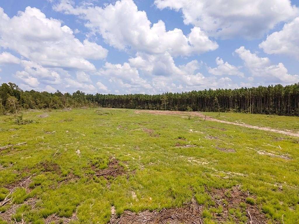 17.4 Acres of Land for Sale in Apple Springs, Texas
