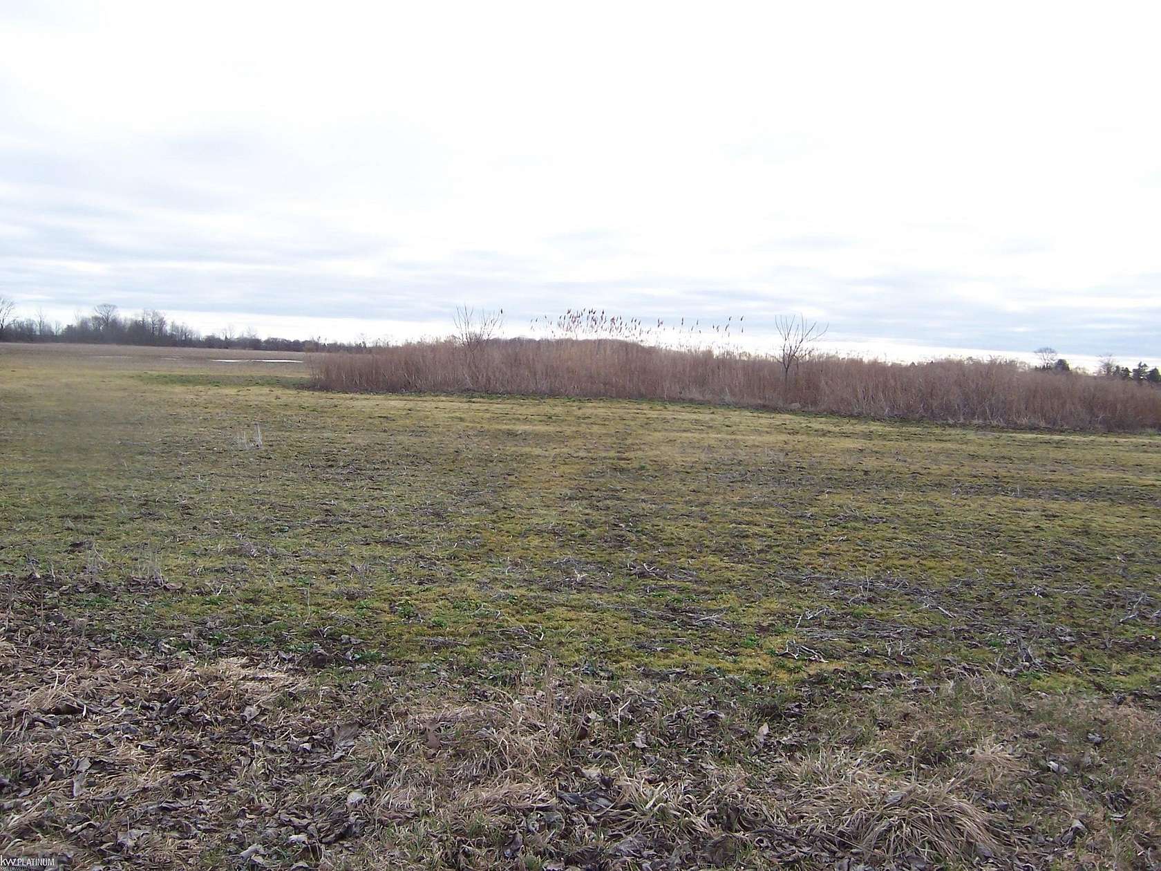 25 Acres of Land for Sale in Columbus, Michigan