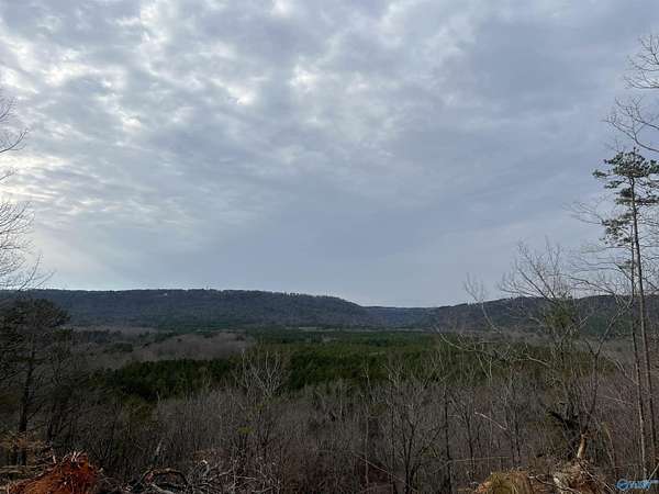 3 Acres of Residential Land for Sale in Cedar Bluff, Alabama