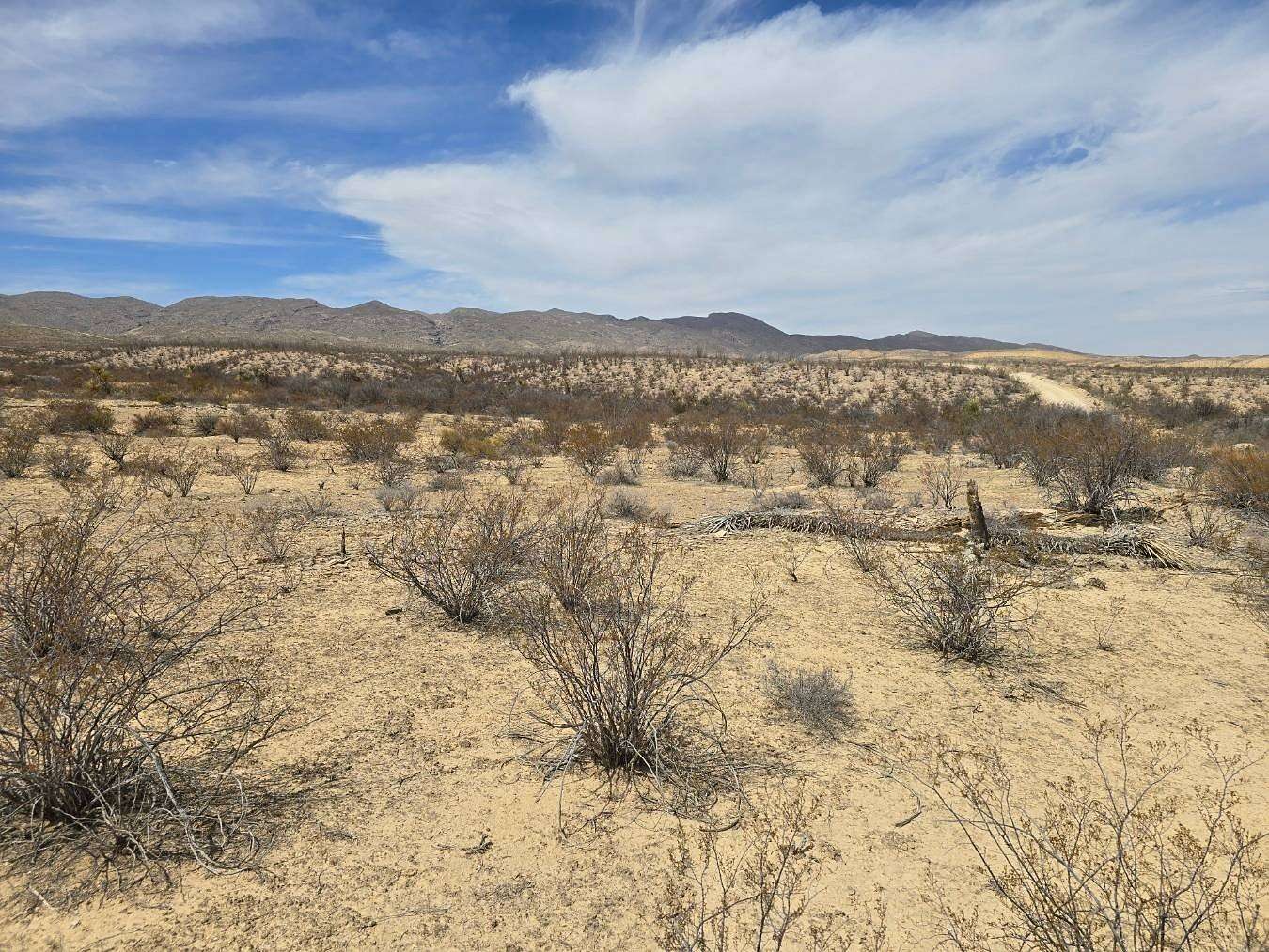 10 Acres of Residential Land for Sale in Terlingua, Texas