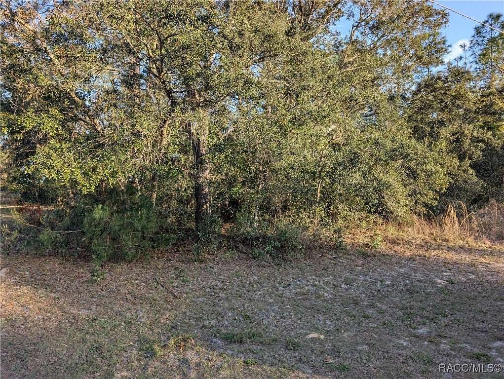 0.23 Acres of Residential Land for Sale in Citrus Springs, Florida