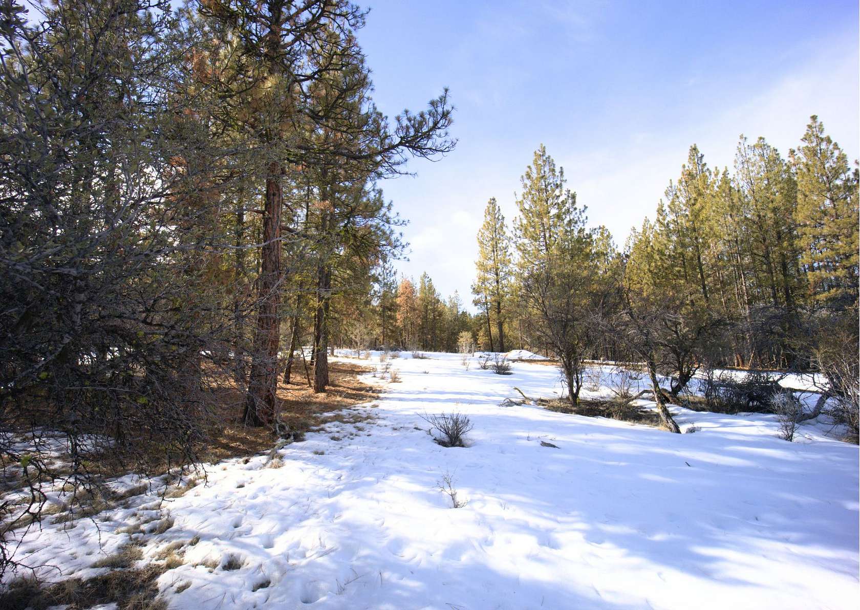 1.45 Acres of Residential Land for Sale in Beatty, Oregon