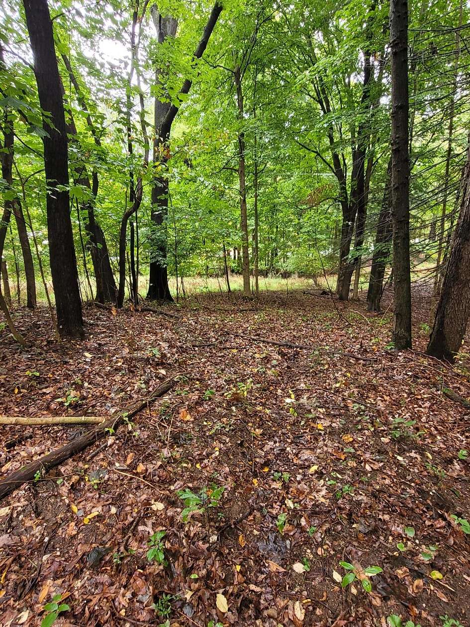 1.18 Acres of Land for Sale in Niles, Michigan