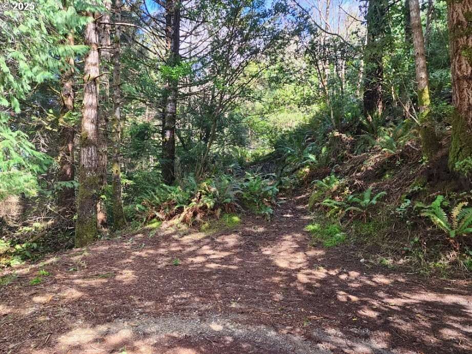 0.54 Acres of Residential Land for Sale in Port Orford, Oregon