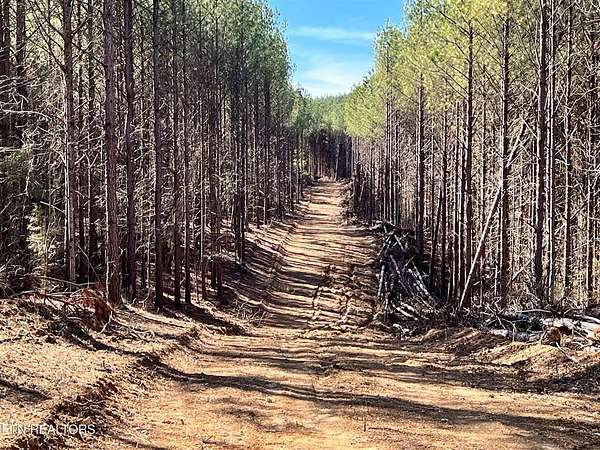 7.64 Acres of Land for Sale in Decatur, Tennessee