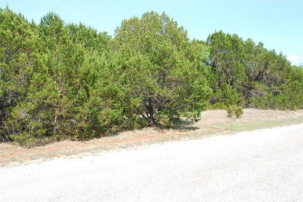 0.35 Acres of Land for Sale in Whitney, Texas