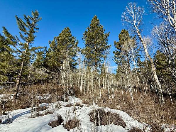 5 Acres of Land for Sale in Chiloquin, Oregon