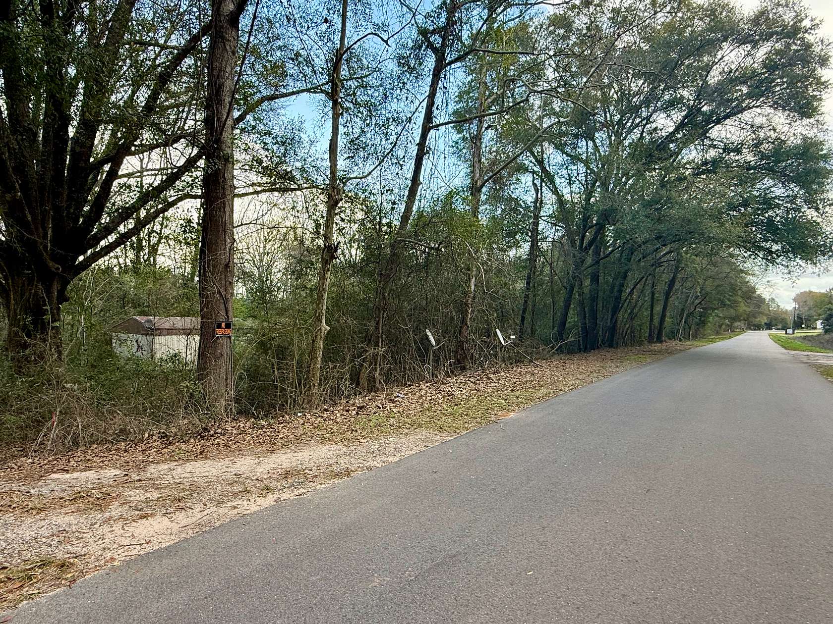 1.29 Acres of Residential Land for Sale in Chancellor, Alabama