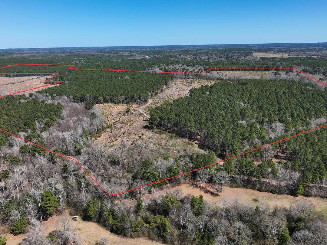 171 Acres of Recreational Land & Farm for Sale in Linden, Texas