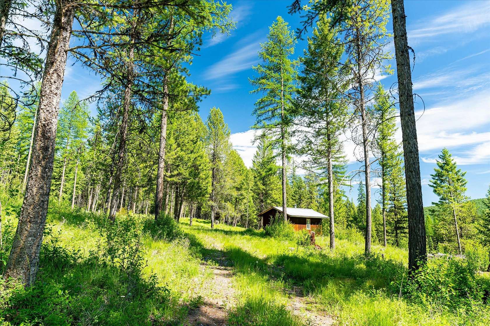 20 Acres of Recreational Land for Sale in Kalispell, Montana