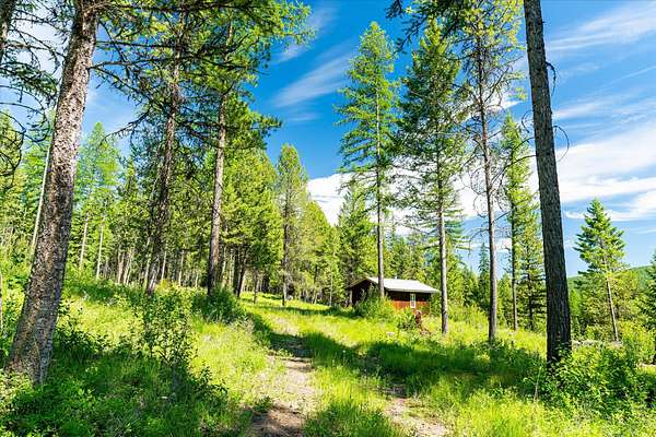 20 Acres of Recreational Land for Sale in Kalispell, Montana