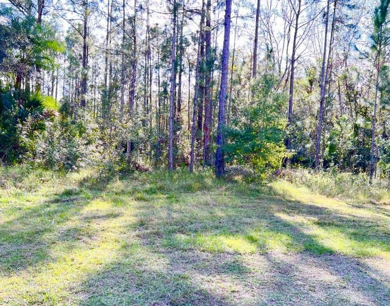 0.55 Acres of Residential Land for Sale in Indian Lake Estates, Florida