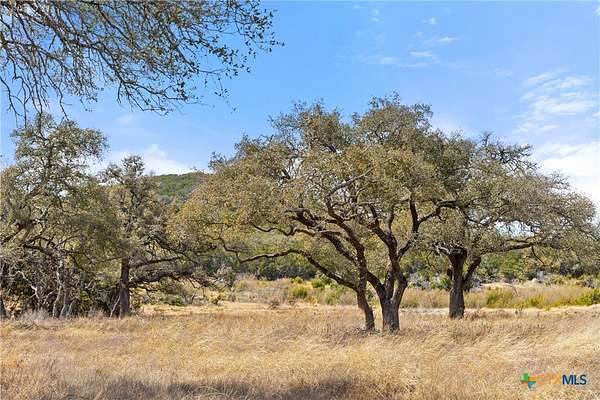 54.2 Acres of Agricultural Land for Sale in Johnson City, Texas