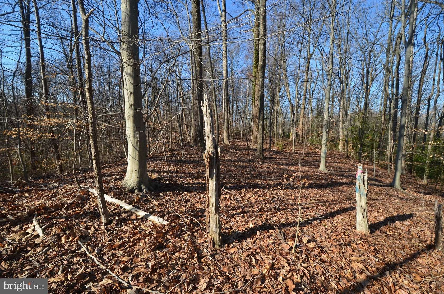 0.95 Acres of Residential Land for Sale in Crownsville, Maryland