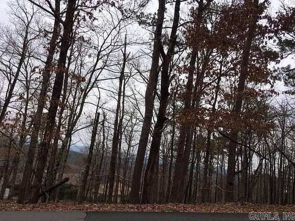 0.27 Acres of Residential Land for Sale in Hot Springs Village, Arkansas