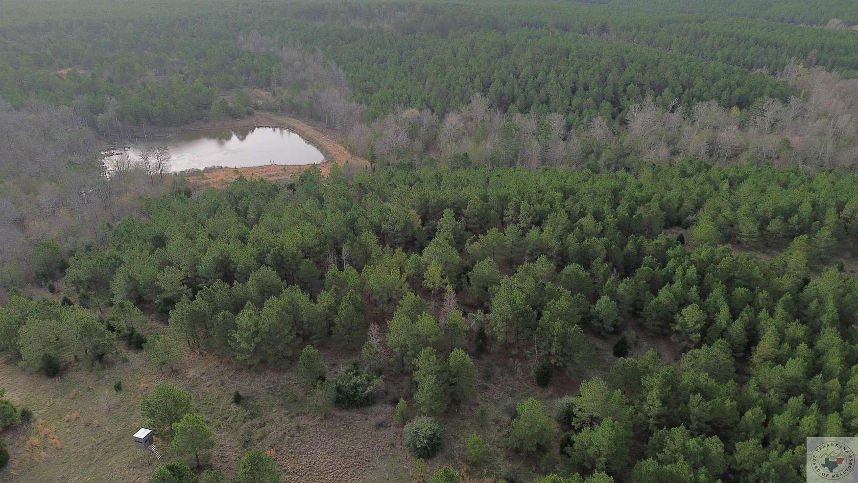 77 Acres of Recreational Land for Sale in Linden, Texas