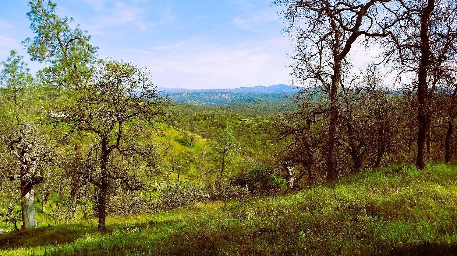 7 Acres of Land for Sale in Coarsegold, California