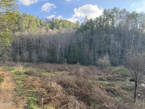 51.3 Acres of Land for Sale in Del Rio, Tennessee