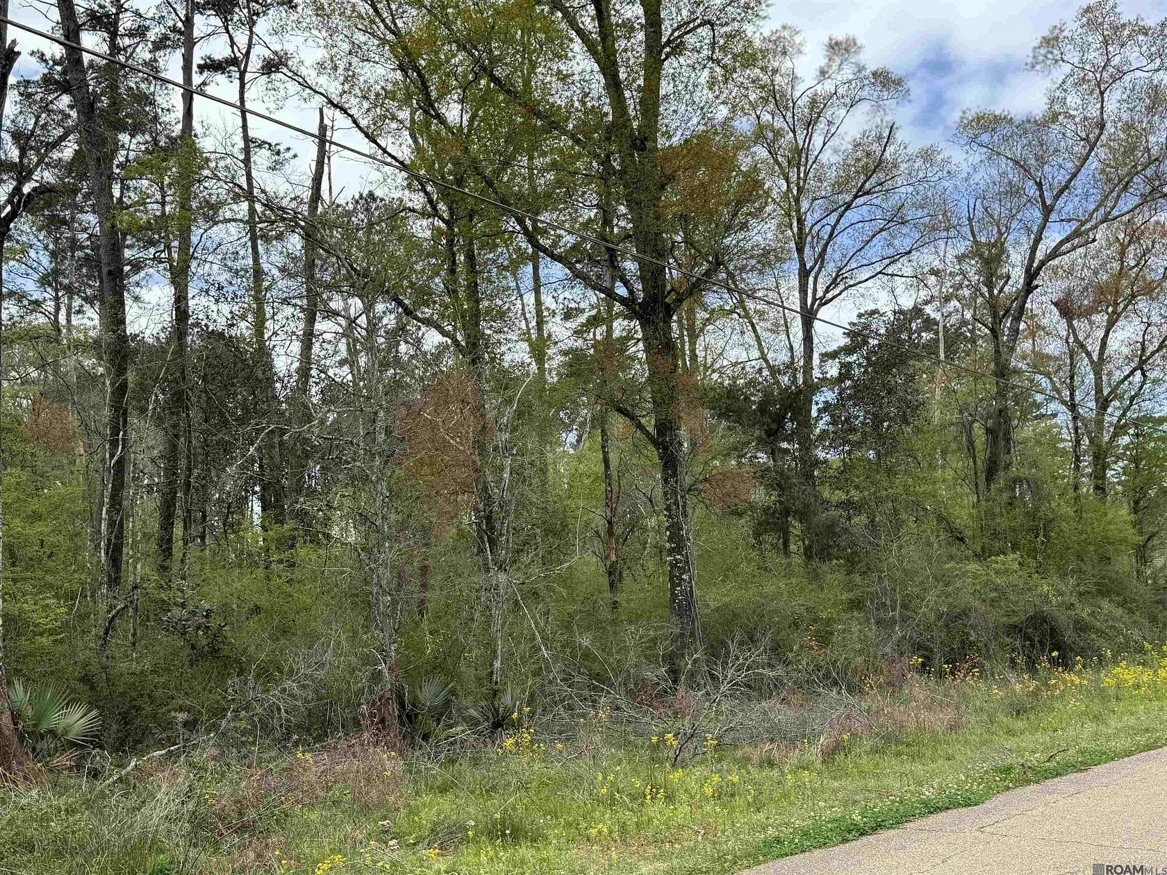 1 Acre of Residential Land for Sale in Denham Springs, Louisiana
