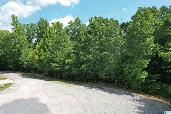 3 Acres of Residential Land for Sale in Harpersville, Alabama