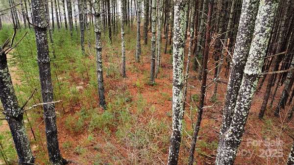 2.16 Acres of Residential Land for Sale in Nebo, North Carolina