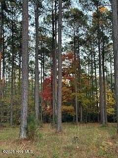 0.92 Acres of Residential Land for Sale in Oriental, North Carolina