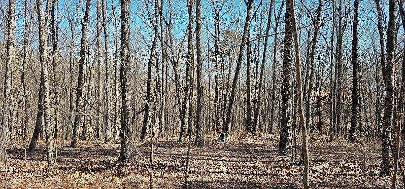 3.83 Acres of Residential Land for Sale in Dunlap, Tennessee