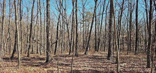 3.83 Acres of Residential Land for Sale in Dunlap, Tennessee