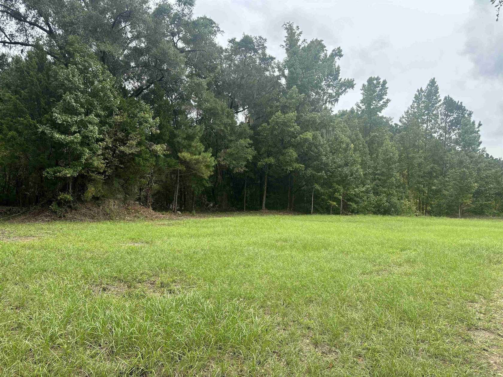69.3 Acres of Land for Sale in Crawfordville, Florida